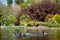 The lake at Pinner Memorial Park, Pinner, Middlesex, UK, photographed on a sunny spring day with waterfowl swimming on the water.