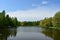 Lake pond and river. Birch grove. Tree branches above the water. Green herbs. Blue sky