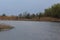 Lake pond water trees spring reeds blue summer ruffle the wind in the sky