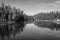 Lake pristine with green forest water reflection and bright blue sky at morning in black and white