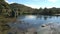 Lake Pupu springs at the westcoast, New-Zealand