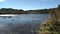 Lake Pupu springs at the westcoast, New-Zealand