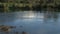 Lake Pupu springs at the westcoast, New-Zealand