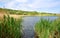 Lake, reeds and hills with the cloudy sky