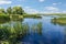 Lake with reeds and water lilies