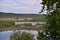 Lake with reeds and willows on the shore near the forest during spring months