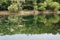 A lake reflecting the forest trees which line the trail around the lake at Rotary Botanic Gardens in Wisconsin