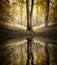 Lake with reflection of tree in a colorful forest in autumn