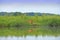 Lake with reflection of trees and bench