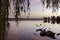 Lake with reflections