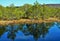 Lake with reflections of trees at the Tinovul Mohos botanical reserve in Romania