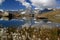 Lake Riffelsee with a cotton field in the foreground, on a mountain Gornergrat, in Switzerland