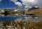 The lake Riffelsee, mountains and a cotton field in the foreground, on a mountain Gornergrat, in Switzerland