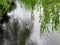 Lake with ripples on the water and a floating duck and willows over it