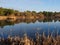 A lake or river on the background of a forest. Bare trees without leaves on the shore of a pond or lake