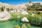 Lake, river and grass in the desert oasis - Oman