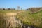 Lake and river in polder landscape, Het Zwin nature reserve, Knokke, Belgium