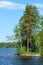 Lake Ruotsalainen summer view (Finland).