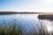 Lake and rushes at the edge of lake. Sunny day, clear blue sky background