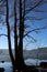 .Lake Sanabria, Zamora, a sunny winter day. the lake is calm, there are rocks and trees