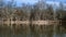 Lake scenery in winter with Sycamore Trees