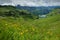 Lake Seealpsee in Allgaeu with colofrul flower meadow