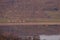 Lake seen from above. high forest in spring season at sunset