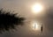 Lake Seliger: Fog Sun Water