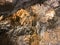 Lake Shasta caverns national natural landmark , California