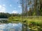 Lake shines green under blowing clouds in summer with waterlily leaves in the foreground