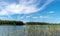 Lake shines green under blowing clouds in summer with waterlily leaves in the foreground