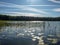 Lake shines green under blowing clouds in summer with waterlily leaves in the foreground