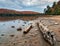 Lake Shore Log With Dramatic Autumn Trees