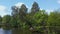 Lake shore with pine tilted over the water, aerial view