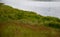 Lake shore with trees and grass mountain meadows acidic peat water with aquatic plants in the forest