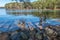 Lake shoreline in a park