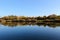 Lake shoreline reflecting symmetric in the water