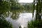 Lake in Silesian Park, green plants and tree`s reflection in water