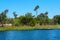Lake with small wood pier & blue water, trees and native wetland plants