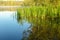 Lake with a smooth surface and reeds reflected in the water