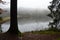 Lake sourrounded by a forest with reflection of trees on a foggy day