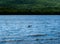 Lake Squam water from boat with view of island and mountains