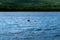 Lake Squam water from boat with view of island and mountains