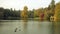 Lake, Stourhead gardens, Wiltshire, England