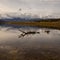 Lake with stranded branches reflecting the cloudy sky