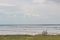 Lake, stumps lined up, blue sky with clouds, green grass on the shore