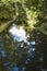 Lake, subtropical forest and pathway in Sao Jorge, Azores. Portu