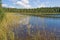 Lake in summer, Finland