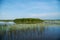 Lake Surface with Water Lily Flowers. Thale Noi Waterfowl Reserve Lake, Thailand