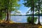 Lake surrounded by forest with pine trees growing on the coast. Bright sunny summer day nature landscape